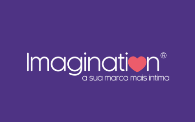 Imagination